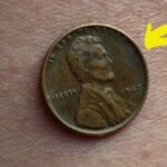 Lincoln Wheat Penny