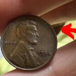 Lincoln Wheat Penny
