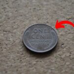 Lincoln Wheat Penny